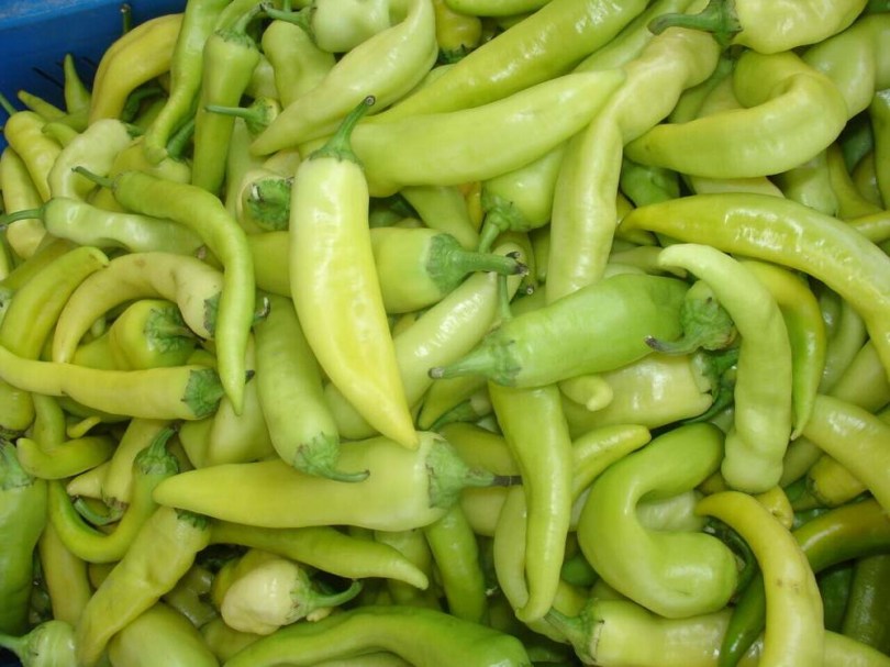 Édes banán paprika - Édespaprika ritkaságok az Egzotikus Növények Stúdiója kínálatában